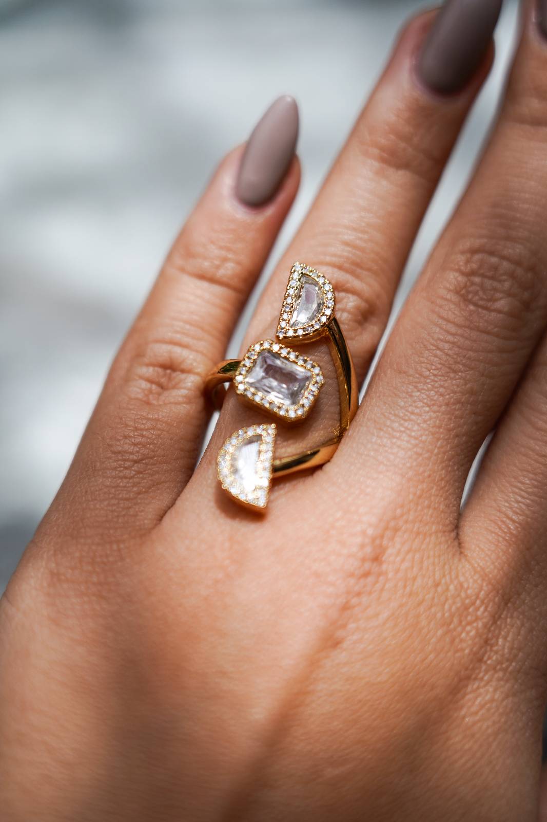 Anillos