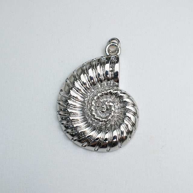 Dije Concha Nautilus Plateado